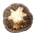 septarian slab 89 8 x 7.5 prox